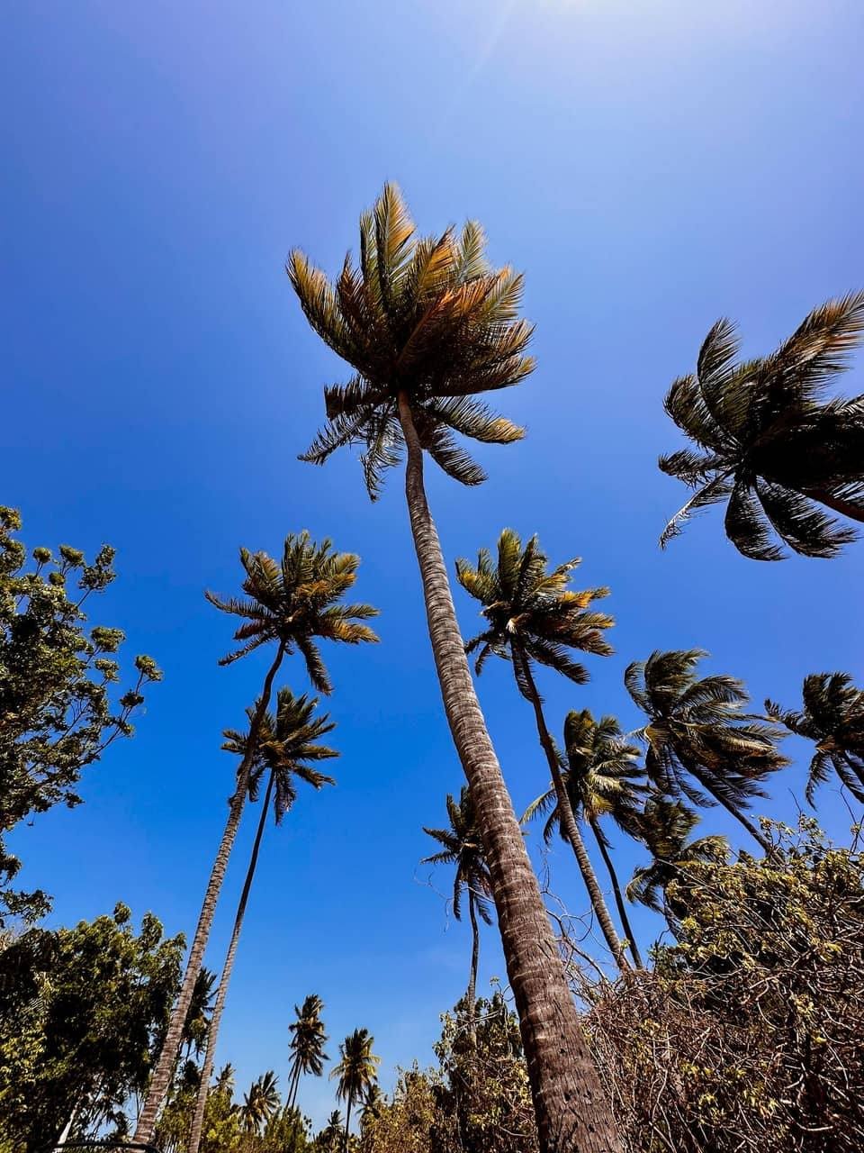 Foto do Instagram da Wind Village: vida na ilha e hóspedes navegando (5/5)